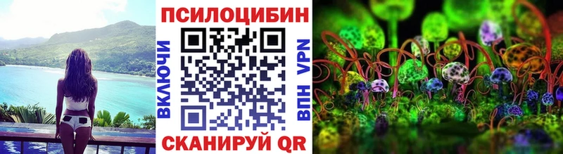 сколько стоит  KRAKEN как войти  Псилоцибиновые грибы MAGIC MUSHROOMS  Раменское 