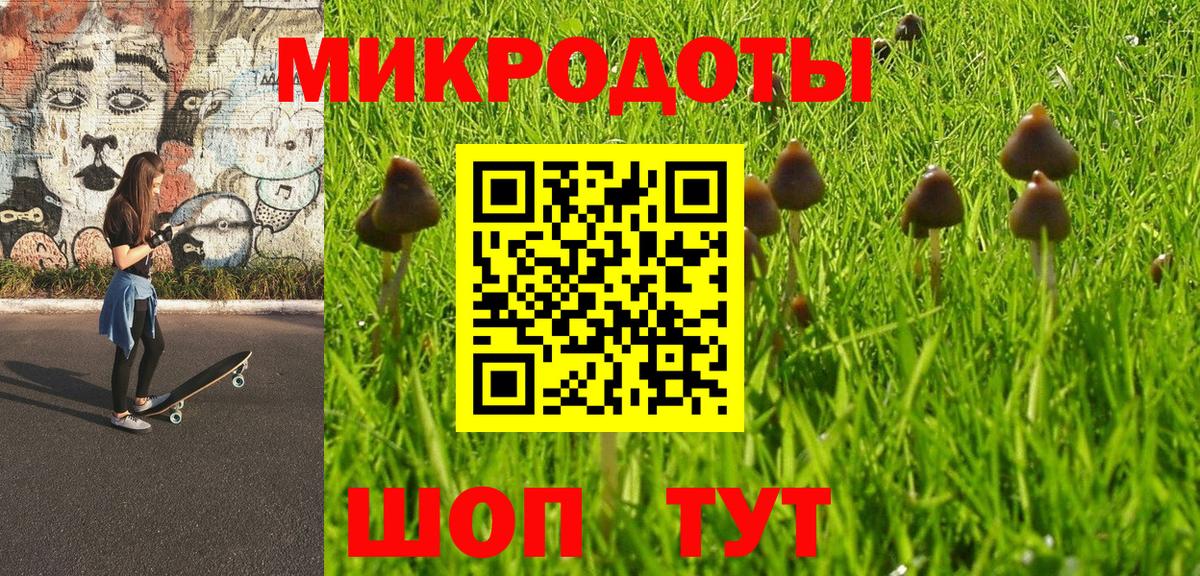 Псилоцибиновые грибы GOLDEN TEACHER Раменское