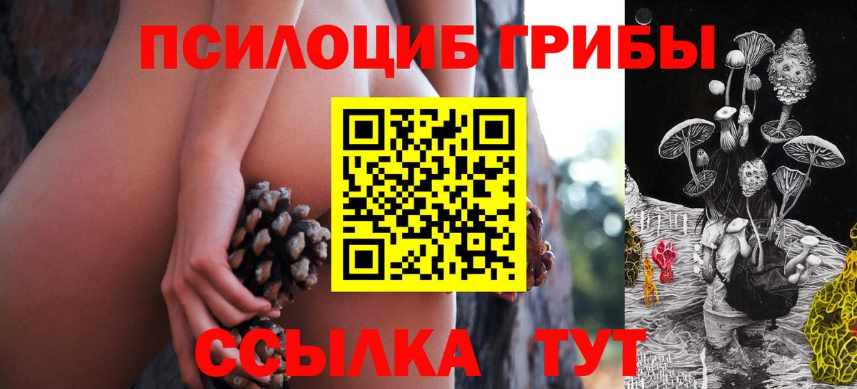 Псилоцибиновые грибы прущие грибы  Псилоцибиновые грибы ЛСД  Вход с VPN  закладки  Раменское 